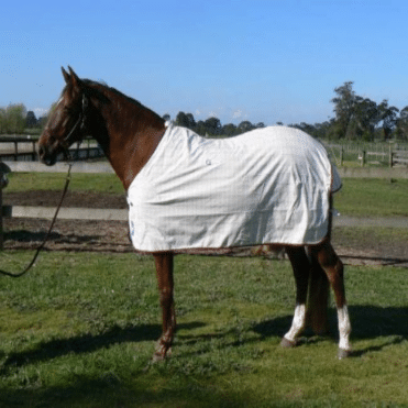 CAVALLINO TEARLOK BREEZE