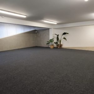 Interior Carpet